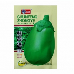 Green round eggplant seeds 500 seeds