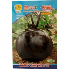 Round Eggplant seeds 1kg per bags