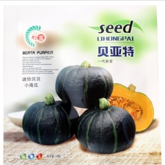 Thick meat pumpkin seeds 10 seeds