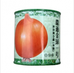 Top quality onion seeds 100gram/bags