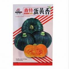 Fragrance round pumpkin seeds 20 seeds