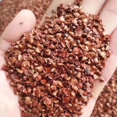 Cypress seeds/Cupressus funebris Endl seeds 1kg