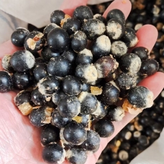 Sapindus mukorossi/Soapberry seeds 1kg