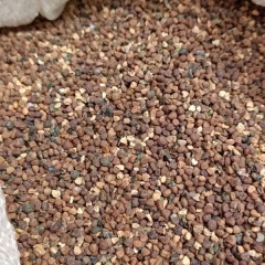 Gynostemma seeds 1kg