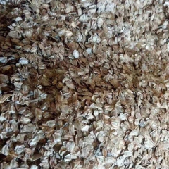 Alnus cremastogyne/Alder seeds 1kg