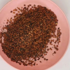 Lonicera japonica/honeysuckle seeds 1kg