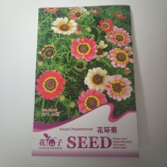 Chrysanthemum carinatum seeds 50 seeds/bags