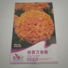 Orange marigold seeds 50 seeds/bags