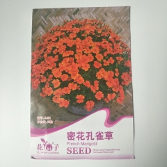 French marigold seeds 50 seeds/bags