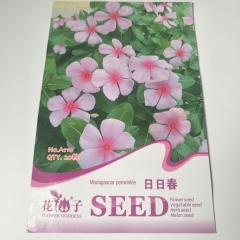 vinca rosea seeds 20 seeds/bags
