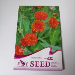 Sowthistle Tasselflower seeds 50 seeds/bags