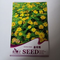Melampodium paludosum seeds 20 seeds/bags