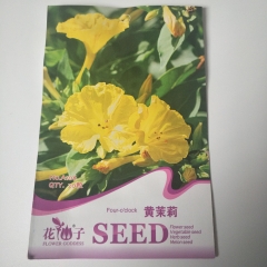 yellow four o clock seed seeds 20 seeds/bags