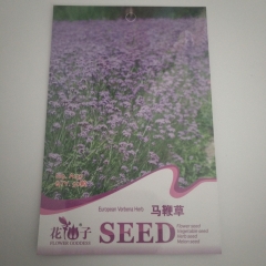 verbena seeds 50 seeds/bags