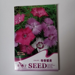 lilac pink seeds 50 seeds/bags