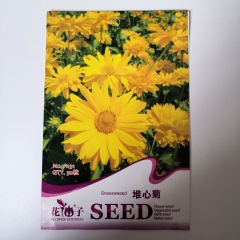 sneezeweed seeds 50 seeds/bags