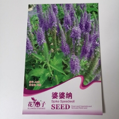 Veronica persica seeds 50 seeds/bags