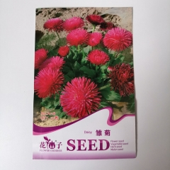 Daisy seeds 50seeds/bags