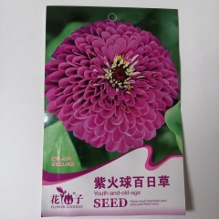 Purple Zinnia seeds 50 seeds/bags