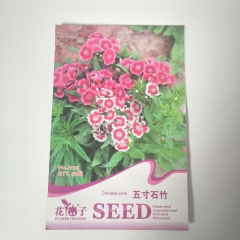 Carnation seeds 50seeds/bags