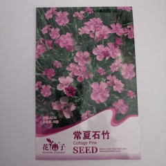 Cottage Pink seeds 50seeds/bags