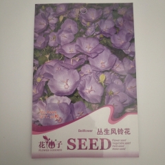 bellflower seeds 30 seeds/bags