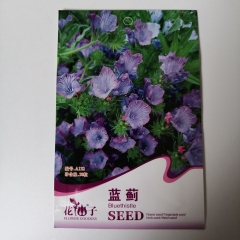 echium vulgare seeds 30 seeds/bags