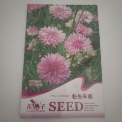 pink cornflower seeds 50 seeds/bags