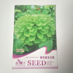 green Common zinnia seeds 30 seeds/bags