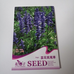 salvia seeds 30 seeds/bags