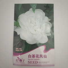 White garden balsam seeds 20 seeds/bags