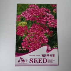 Yarrow seeds 50 seeds/bags