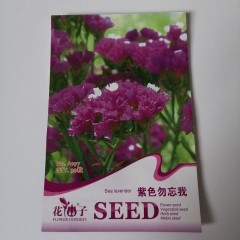 Purple forgot me not seeds 20 seeds/bags