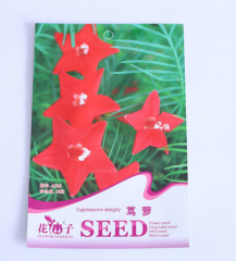 cypress vine seeds 10 seeds/bags