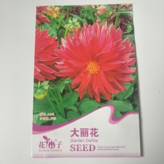 garden dahlia seeds 30 seeds/bags