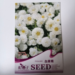 white china aster seeds 50 seeds/bags