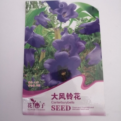 big Campanula seeds 30 seeds/bags