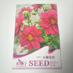 Dahlia seeds 50 seeds/bags