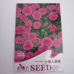 Dwarf china aster seeds 50 seeds/bags
