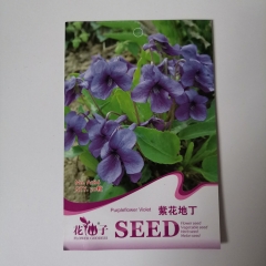 Chinese violet seeds 30 seeds/bags