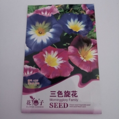 3 color morning glory seeds 30 seeds/bags