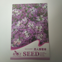 alyssum seeds 50 seeds/bags