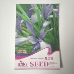 Malan Flower seeds 20 seeds/bags