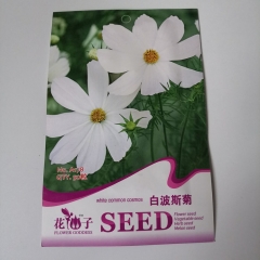White cosmos seeds 50 seeds/bags