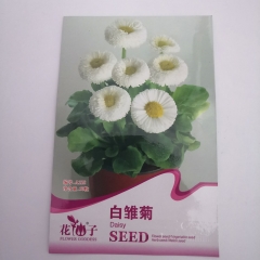 White daisy seeds 50 seeds/bags