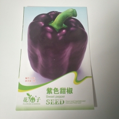 Purple sweet pepper seeds 8 seeds/bags