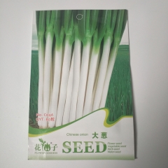 Chinese onion seeds 80 seeds/bags
