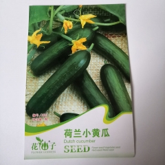 Dutch cucumber seeds 5 seeds/bags