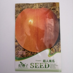 Super pumpkin seeds 4 seeds/bags