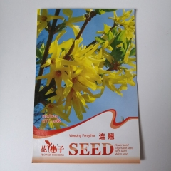 fructus forsythiae seeds 20 seeds/bags